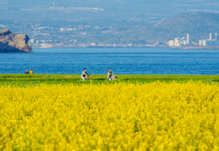 '청정 섬' 어쩌다…중국인에 몸살 앓는 제주