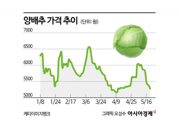 한국인 밥상, 중국산이 점령했다…가성비에 무너진 국산 채소[Why&Next]