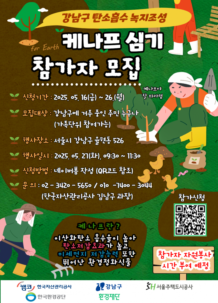강남구, 1600평 유휴지에 ‘케나프’ 심어…도심 탄소중립 앞장