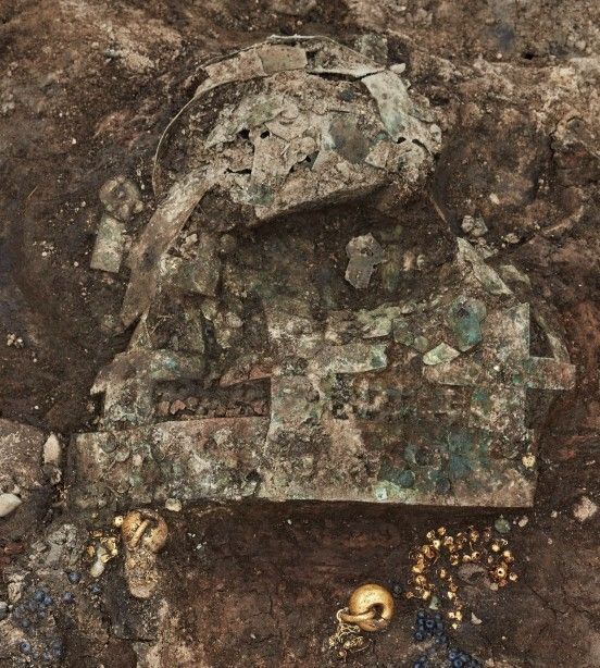 신라 금동관에서 비단벌레 날개 장식 처음 확인돼