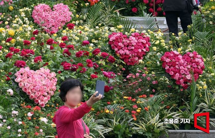 [포토] '사랑꽃'을 담아라