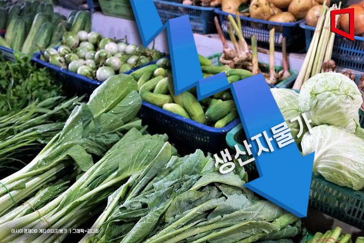 생산자물가, 6개월 만에 하락… 오이·양파 가격 '뚝'