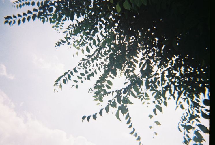 주말 동안 광주와 전남은 흐리다가 점차 맑아지겠고, 기온은 평년과 비슷할 것으로 예보됐다. 송보현 기자