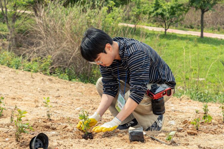 관광공사, 산불 피해 경북 영덕에서 생태복구 활동 '퍼티라이깅'