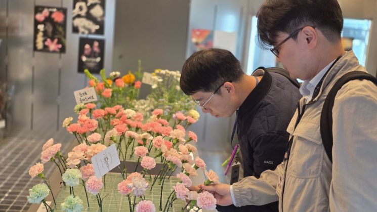 중국산 '카네이션', 국산 둔갑 판매…지난달 화훼류 원산지 위반 72개소 적발