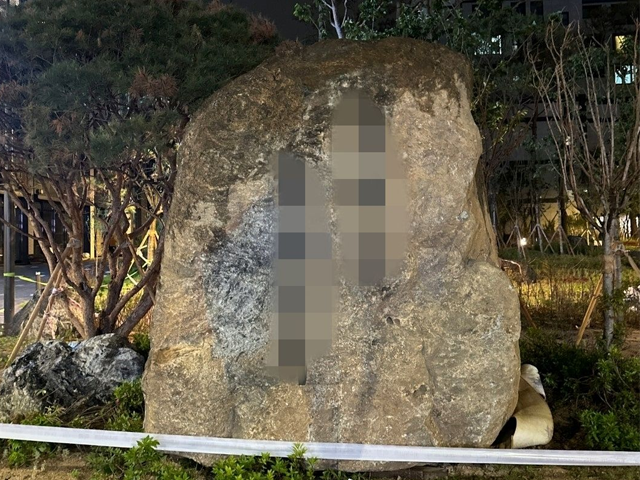 "이게 하나에 6000만원짜리 돌덩이?"…조경석 설치에 난리난 신축아파트