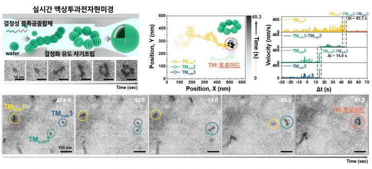 GIST, 나노구조 진화 과정 실시간 포착…스케일링 이론 입증