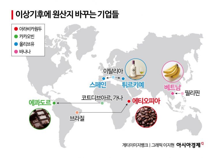 "사장님, 커피맛이 변했어요"…백도 말고 '아삭', 광어 대신 송어[1도 경제]②