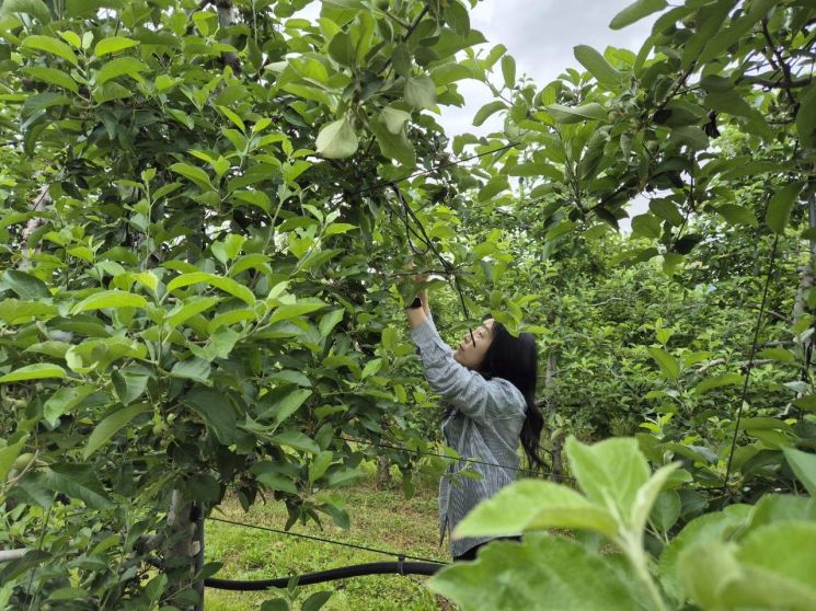 [농업 바꾼 FTA]①세계서 가장 넓은 경제 운동장 만드는 韓