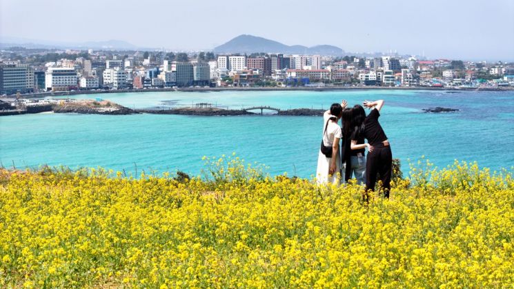 "수학여행 100만원, 동창회 200만원"…'바가지 논란' 제주 파격 카드