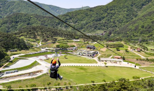 정읍시, '구절초 지방정원 짚와이어' 개장