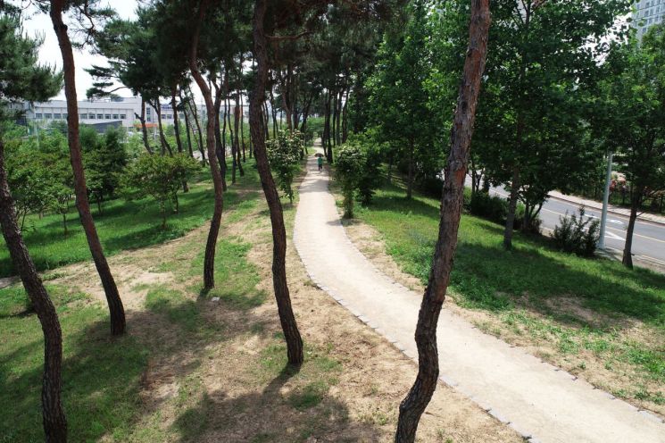 대구 달성 구지에 맨발산책로 3곳 조성…길이 1.6㎞ 폭 1.5m 마사토