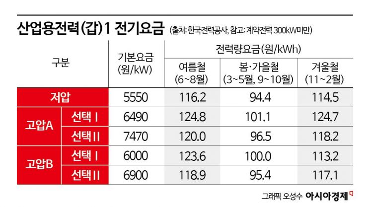 ESS 지체되면 재생에너지도 휘청…"시간대별 요금 차 커져야"