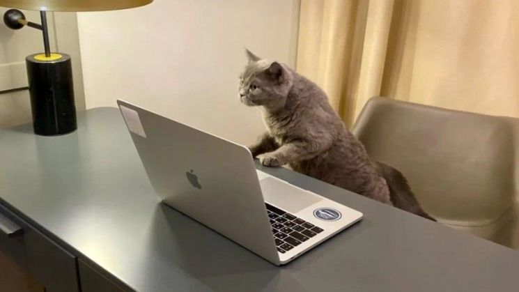 "시급 19만원에 모십니다"…비서직 공고에 지원자 폭주, 무슨 일