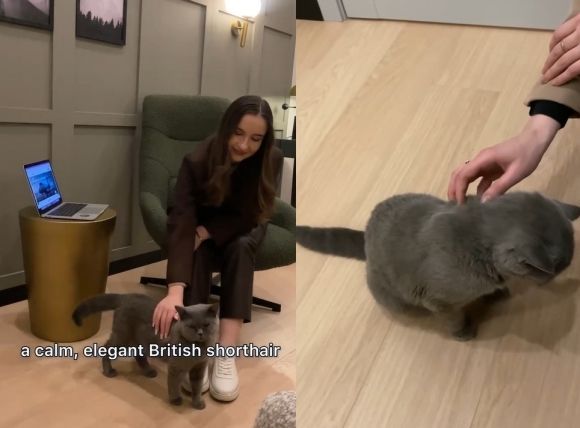 "시급 19만원에 모십니다"…비서직 공고에 지원자 폭주, 무슨 일