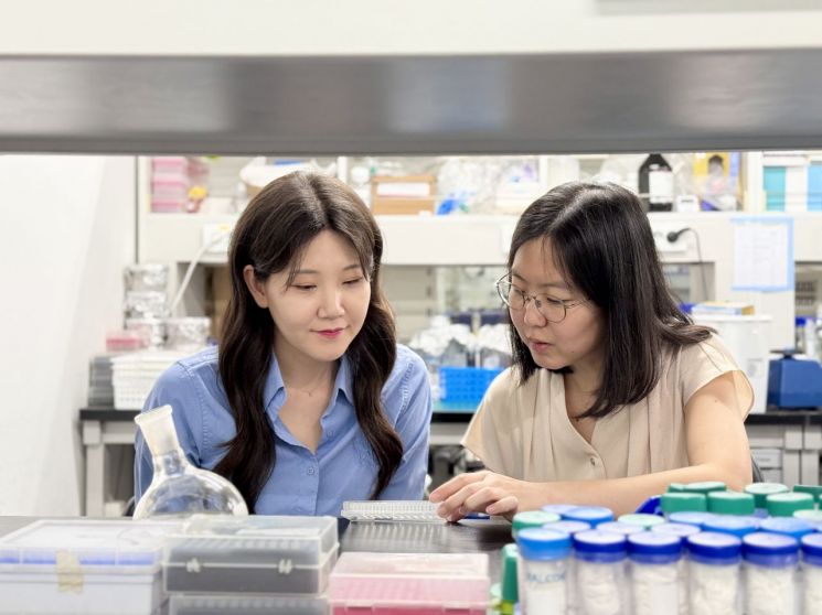 KAIST Develops "Nano-Delivery Platform" to Treat Super Bacteria Infections