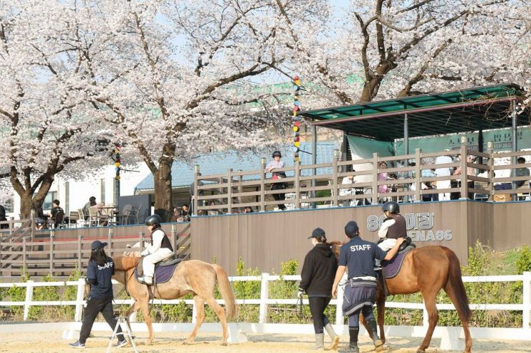 서울에서 열린 도심공원 승마축제 현장. 한국마사회 제공