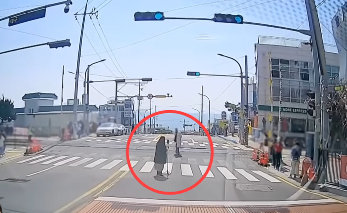 "일본까지 안 가도 돼" 빨간불에 인생샷 '찰칵'…'위험천만' 해운대 도로 