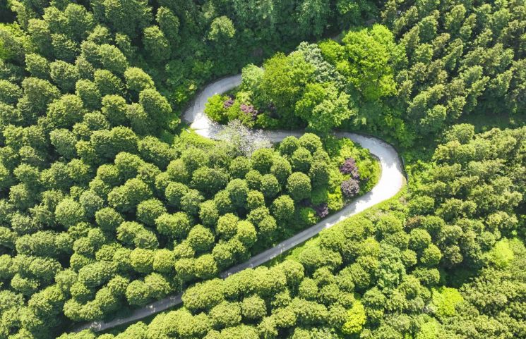 장성군, 1000ha 숲가꾸기…산불 대응 강화