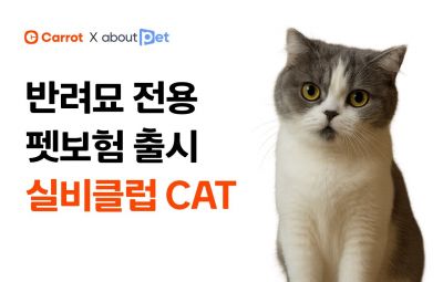 캐롯, 반려묘 펫보험 '실비클럽 CAT' 출시