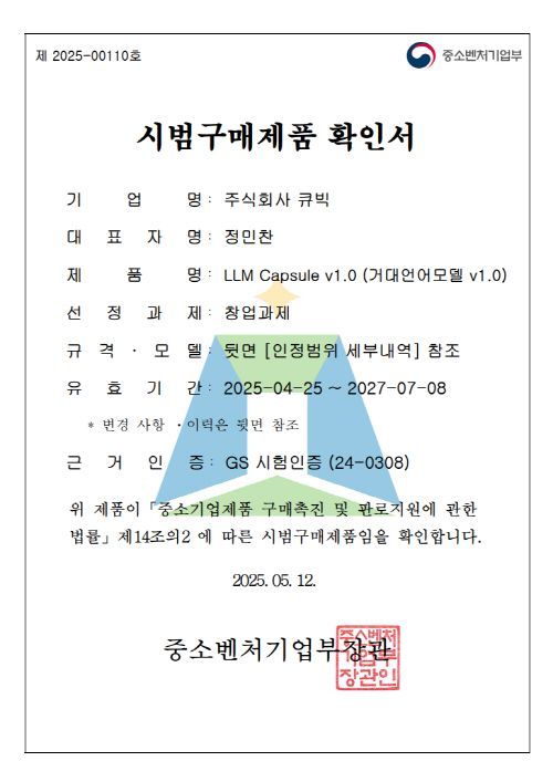큐빅, 'LLM Capsule' 기술개발제품 시범구매 제도 선정