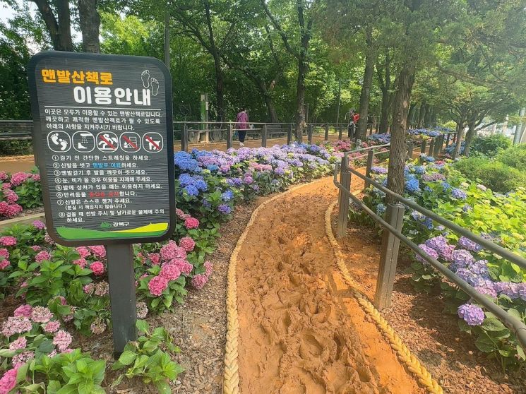 강북구, 맨발걷기 산책로 4곳 개방…2㎞ 조성