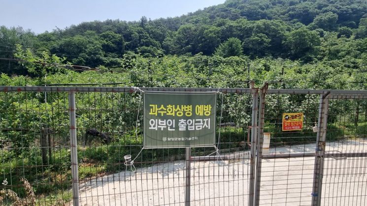 담양군, 사과·배 '과수화상병' 예방 총력