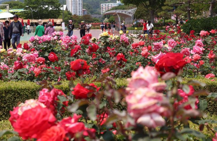 [내일 날씨] 광주·전남 초여름 더위…낮 최고 28도