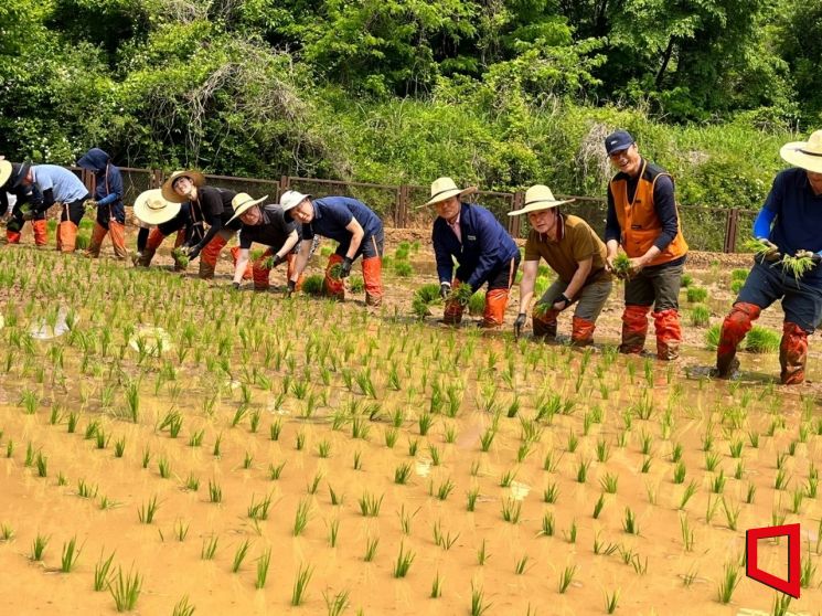 경북 문경돌리네습지 손모내기 행사