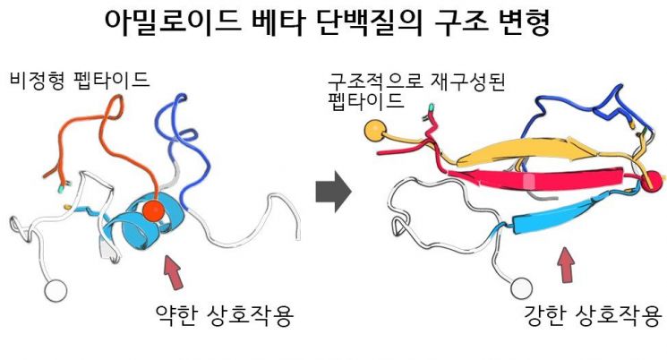 알츠하이머 병인 억제 실마리…"치료제 개발에 희망"