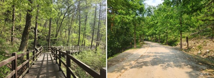 용인시, 처인·기흥구 일대 숲길 4.5㎞ 정비 완료
