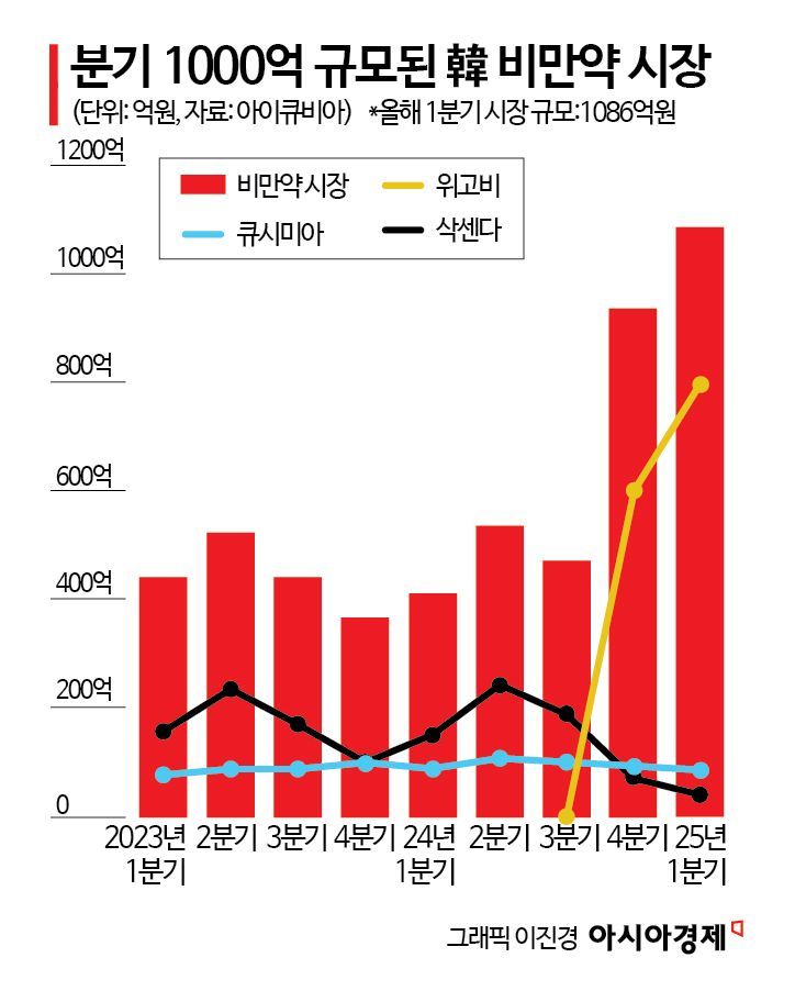 불타오르는 비만약 시장… 내년엔 한미·노보·릴리 3파전
