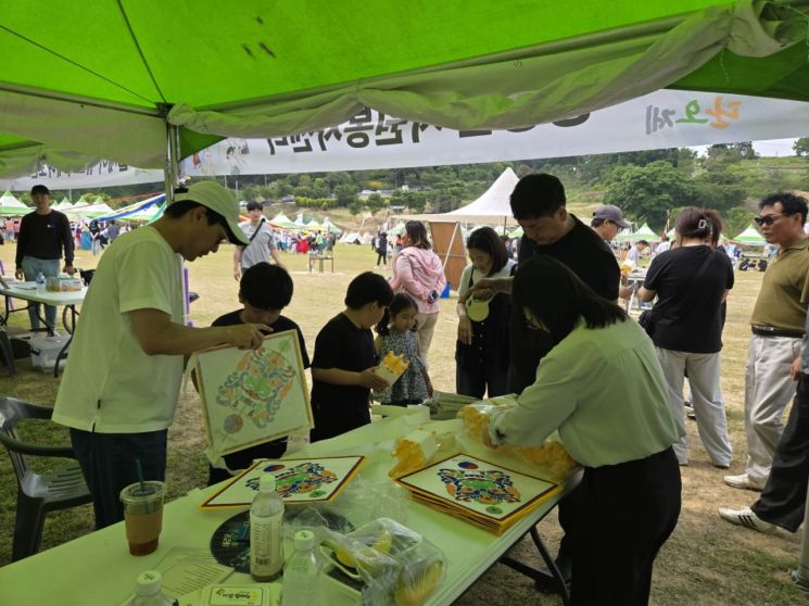 2025 영광군수배 단오 전국연날리기대회 성료