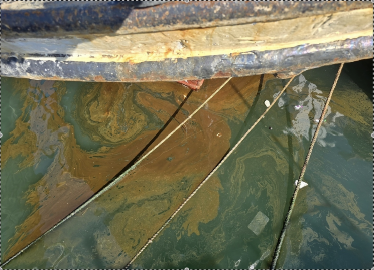 여수 국동항서 경유 유출…선주 입건 예정