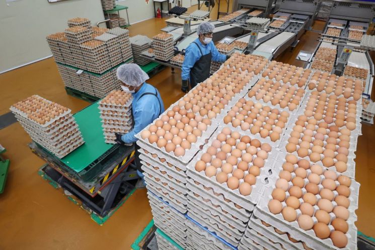 '고공행진' 계란값… 8월까지 오른다