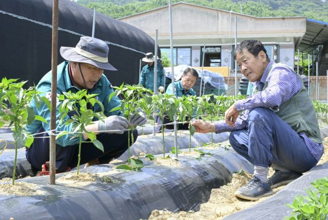 순창군이 본격적인 영농철을 맞아 이달 말까지 '봄철 농촌일손돕기'를 집중 추진한다. 순창군 제공