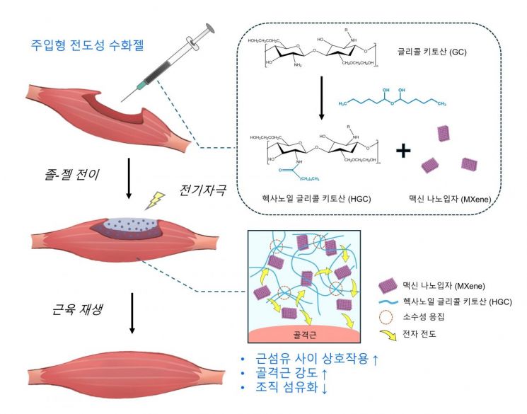 GIST·충남대, '주사로 근육 치료' 전도성 수화젤 개발