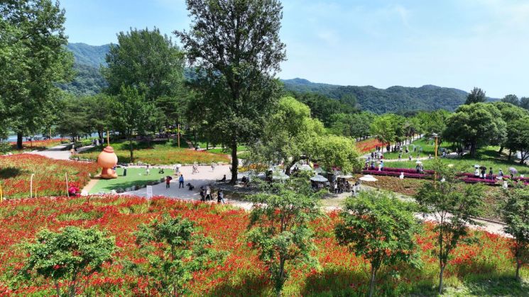 가평군자라섬에서 열리는 '2025 자라섬 꽃 페스타'가 개막 16일 만에 누적 방문객 10만명을 넘어섰다. 가평군 제공