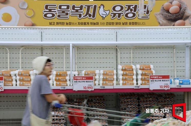 추석 '체감 물가' 고공행진, 달걀값 최대 상승폭