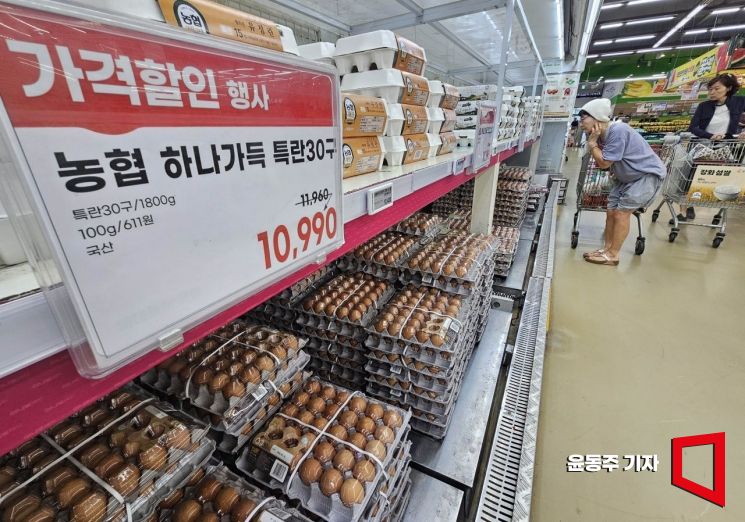 달걀 껍데기에 쓰인 10자리 숫자…똑똑한 소비하려면 '이것' 확인해야