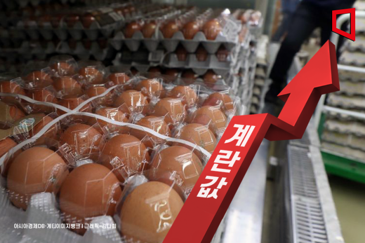 '고공행진' 계란값… 8월까지 오른다