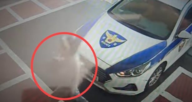 "24개월 된 아기가 숨을 안 쉬어요"…생명 살린 경찰차의 기적