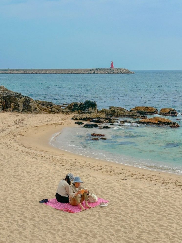 푸른파도 넘실대는 동해…파도파도 끝이없는 매력