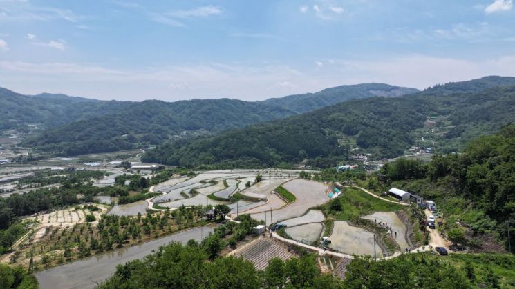 상주 용포리 다락논 구경오세요…봄 모내기철 사진 명소 떠올라