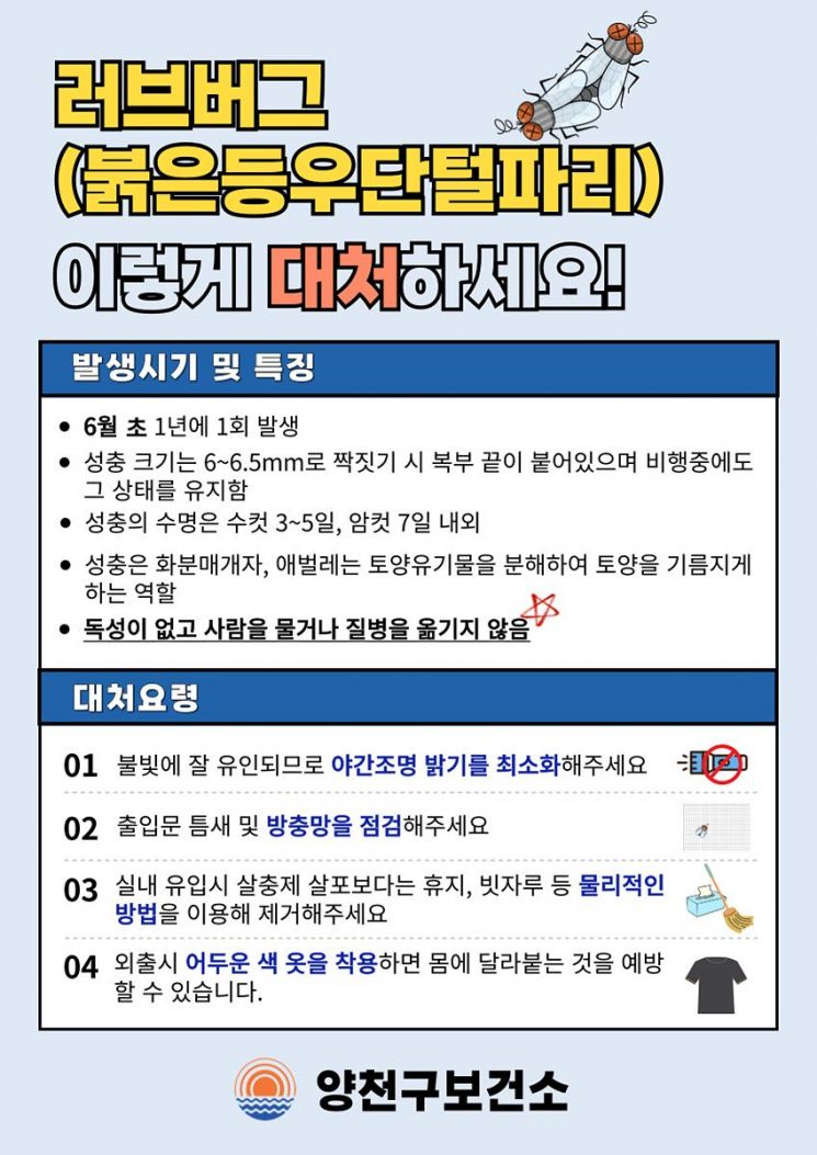 러브버그 대처요령 안내문. 양천구 제공.