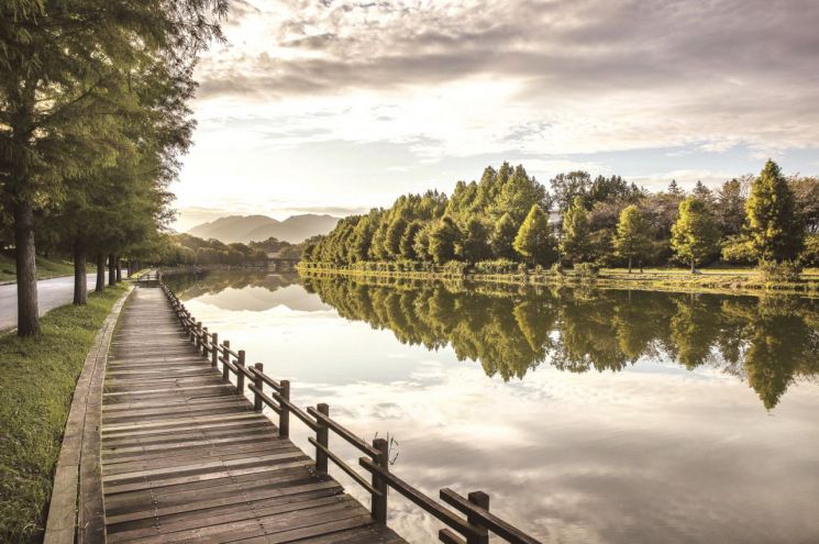 "엄마 프사 바꾸려면 전남으로~"