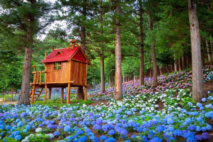 "엄마 프사 바꾸려면 전남으로~"