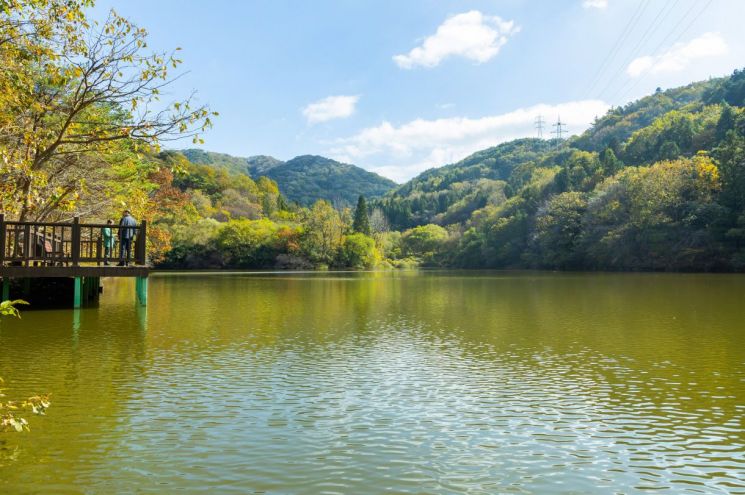 "엄마 프사 바꾸려면 전남으로~"