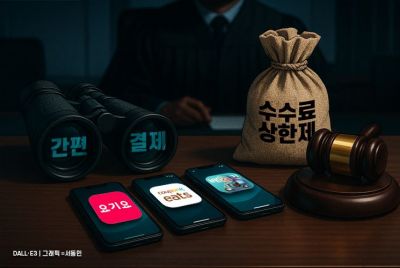 [단독]금융위, 간편결제 수수료 칼 빼들었다…거래액 1000억→200억 공시강화
