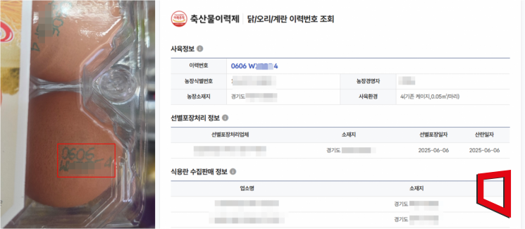 달걀 껍데기에 쓰인 10자리 숫자…똑똑한 소비하려면 '이것' 확인해야
